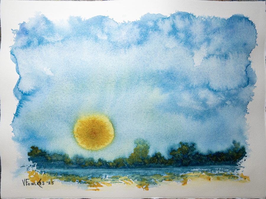 Eye on the Bayou