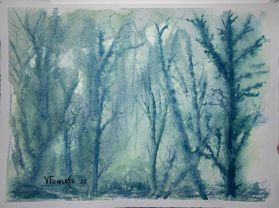 Forest Light