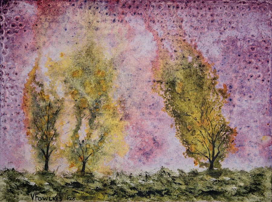 What the Trees Imagine