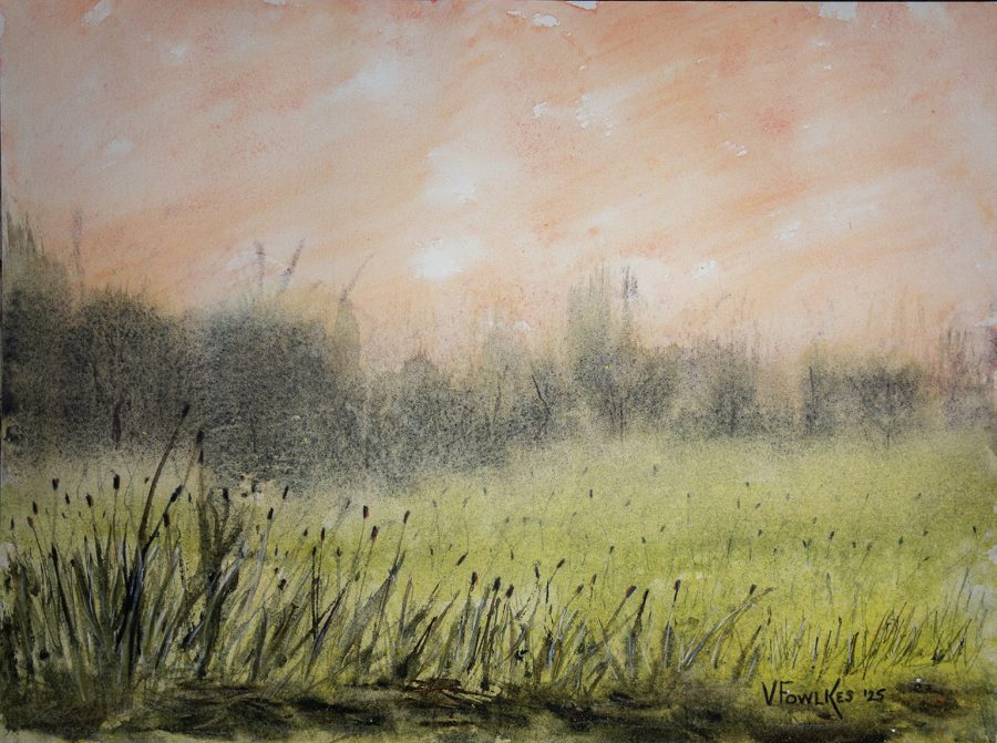Misty Meditation with Cattails