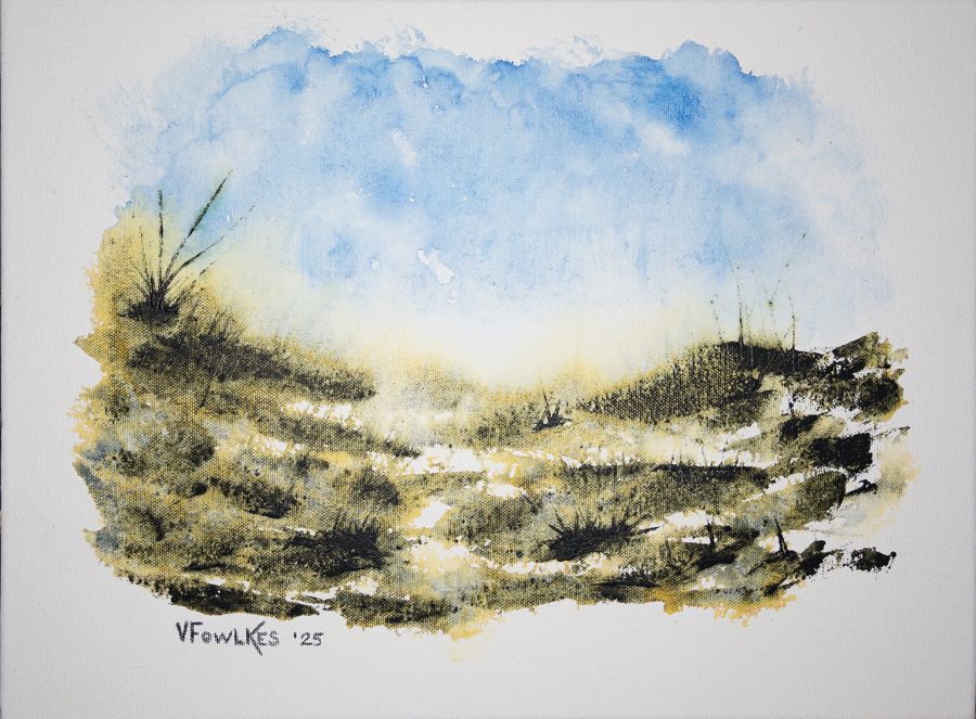 Behind the Grassy Dunes VII