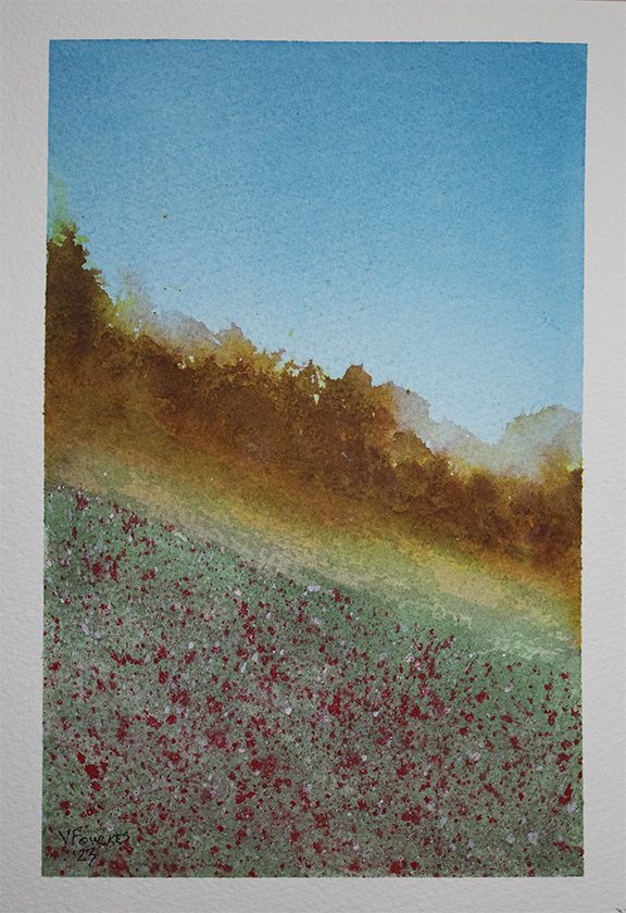 Autumn Wildflowers